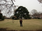 cimg0747