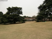 cimg0750