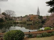 cimg0756