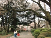 cimg0763