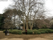 cimg0770