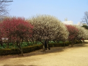 cimg5495