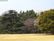 cimg5507