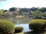dscn5584