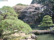 dscn5590