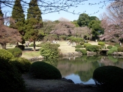 dscn5591