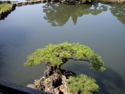 dscn5592