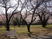 dscn5596
