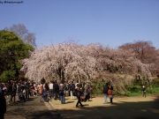 dscn5598
