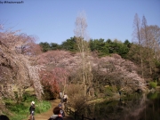 dscn5599