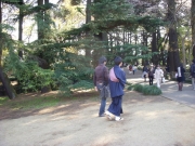 dscn5600