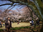 dscn5603