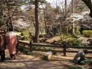 dscn5606