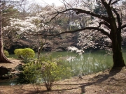 dscn5607