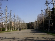 dscn5608