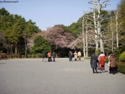 dscn5610