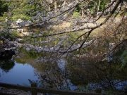 dscn5611