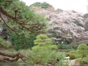 dscn5624