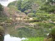 dscn5625