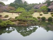dscn5626