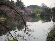 dscn5628
