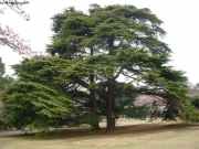 dscn5630