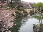 dscn5631