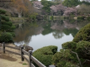 dscn5632