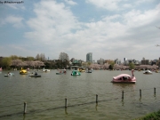 cimg1180