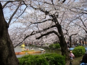 dscn5701