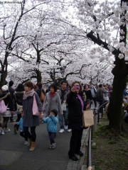 dscn5706