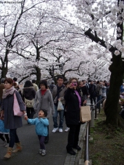 dscn5707