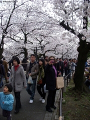 dscn5708