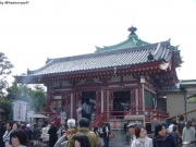 dscn5711