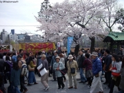 dscn5714