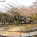 dscn0644