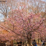 dscn0645