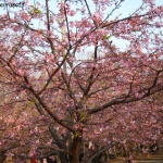 dscn0646