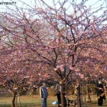 dscn0647