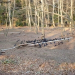 dscn0648