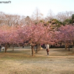 dscn0649