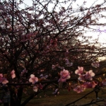 dscn0650