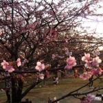 dscn0651