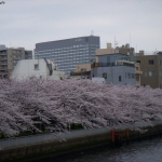 dscn5734
