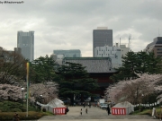 cimg0864