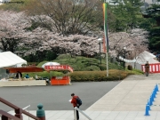 cimg0865