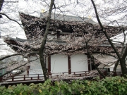 cimg0868