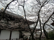 cimg0870