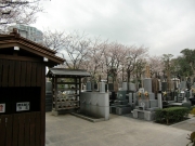 cimg0871