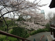 cimg0872